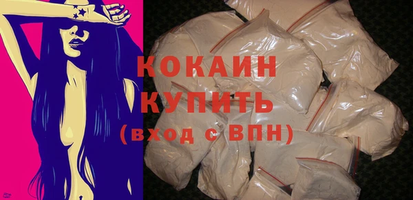 индика Медногорск