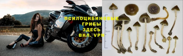 сатива Мегион
