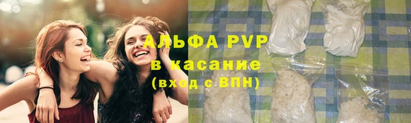 индика Медногорск