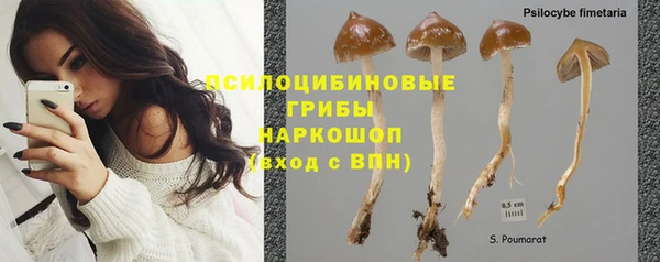 спиды Медвежьегорск