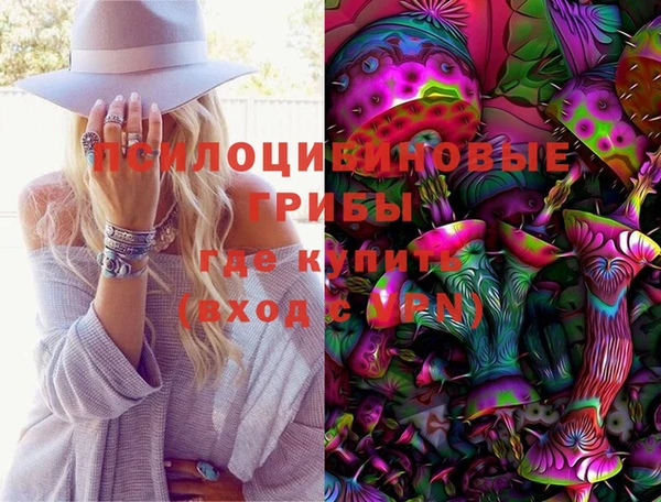 сатива Мегион