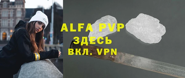 индика Медногорск