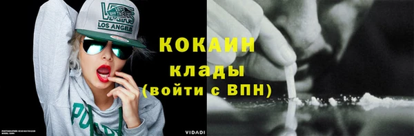 сатива Мегион