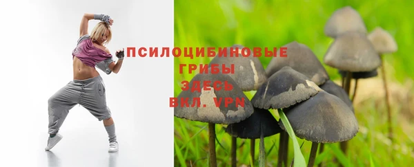 индика Медногорск