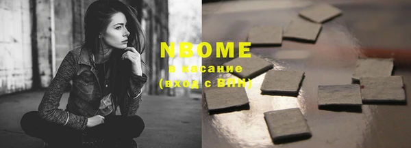 индика Медногорск