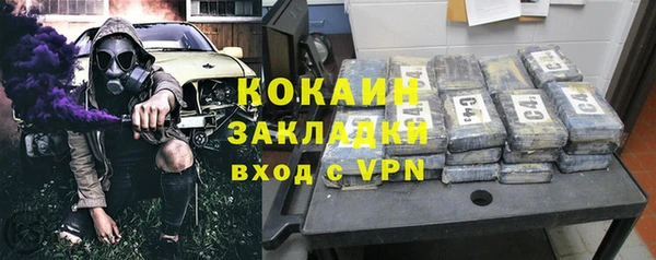 индика Медногорск