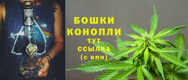сатива Мегион