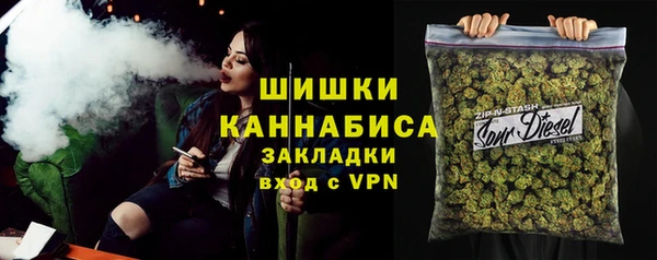 твердый Магас