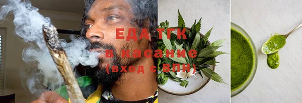 индика Медногорск