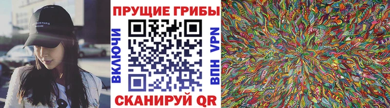 сколько стоит  Черепаново  Галлюциногенные грибы ЛСД 
